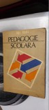 PEDAGOGIE SCOLARA - IOAN NICOLA