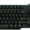 Tastatura DELL SK-8115, QWERTY, USB