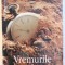 VREMURILE MAI BUNE de CHRISTIAN HALLER , 2008