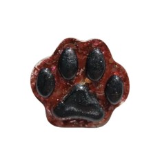 Brosa Crystal Paw foto