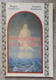 TOATE DRUMURILE DUC LA... PUTNA-MUGUR ANDRONIC, TAMARA NESTEROV-236523