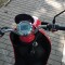 Scuter electric
