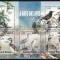GUINEEA 2013 - Pasari / set complet - colita + bloc