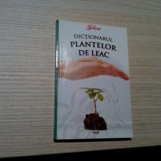 DICTIONARUL PLANTELOR DE LEAC - Eugen Mihaiescu - Editura Calin, 2008, 160 p.