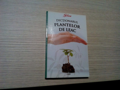 DICTIONARUL PLANTELOR DE LEAC - Eugen Mihaiescu - Editura Calin, 2008, 160 p. foto