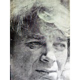 Frumos ca umbra unei idei - 1985 - Nichita Stanescu (AS383)