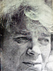 Frumos ca umbra unei idei - 1985 - Nichita Stanescu (AS383)