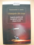 KONSTANTIN V. ZORIN - GHIMPELE DIN TRUP - 2014