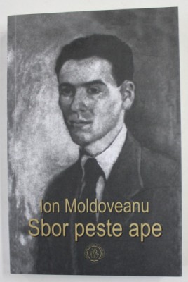 SBOR PESTE APE de ION MOLDOVEANU , 2018 foto