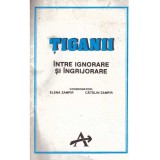 Elena Zamfir, Catalin Zamfir - Tiganii intre ignorare si ingrijorare - 109097