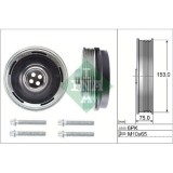 Schaeffler INA Set fulie, arbore cotit