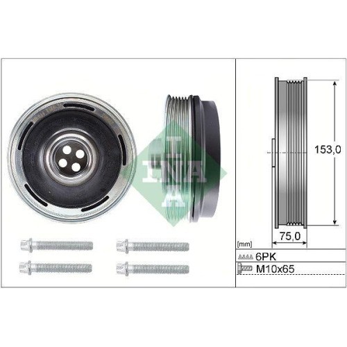 Schaeffler INA Set fulie, arbore cotit