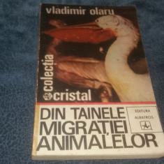 VLADIMIR OLARU - DIN TAINELE MIGRATIEI ANIMALELOR