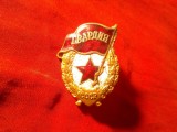 Distinctie - Insigna Militara URSS Granicer - Garda Militara , h=4,7cm (email alb neuniform)
