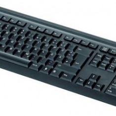 Tastatura Fujitsu KB410, USB, US layout (Negru)