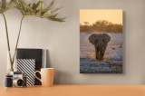Tablou Canvas Elefant Savană Africană Artă Murală, 26 x 39 cm, CMCLASS