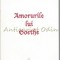 Amorurile Lui Goethe - Leopold Stern
