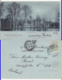 Cluj -1899, clasica, rara