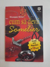 CUM SA DEVII SOMELIER de GIUSEPPE SICHERI , 2009 foto