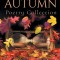 Eternal Autumn