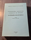 Stenogramele sedintelor consiliului de ministri Guvernarea I. Antonescu vol. 2