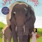 Singing with Elephants