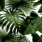 Fototapet Abstract frunze, 250 x 200 cm