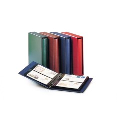 Etui lucrat manual pentru albumul Variant Verde