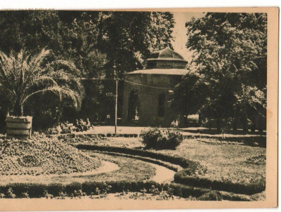 CPI B13552 CARTE POSTALA - BUZIAS - PARCUL, RPR foto