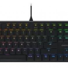 Tastatura Mecanica Cherry CHERRY MX 10.0N, RGB, USB, Layout EU (Negru)