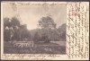 947 - CHISINAU-CRIS, Crisana, Park, Bridge, Romania - old postcard - used - 1905, Circulata, Printata