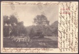 947 - CHISINAU-CRIS, Crisana, Park, Bridge, Romania - old postcard - used - 1905, Circulata, Printata