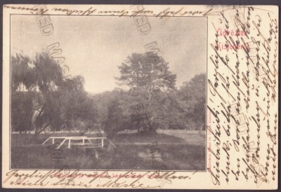 947 - CHISINAU-CRIS, Crisana, Park, Bridge, Romania - old postcard - used - 1905 foto