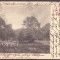 947 - CHISINAU-CRIS, Crisana, Park, Bridge, Romania - old postcard - used - 1905