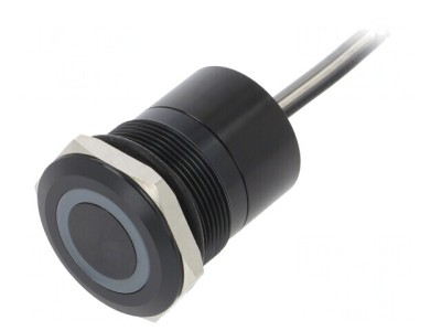 Comutator Capacitiv 12VDC IP68 foto