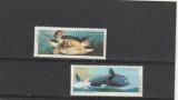 Fauna marina ,testoase,balene,Brazilia !!, Nestampilat