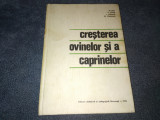 A POP - CRESTEREA OVINELOR SI A CAPRINELOR