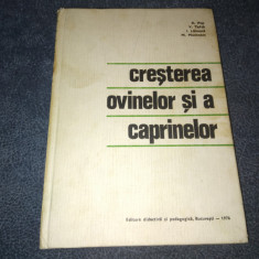 A POP - CRESTEREA OVINELOR SI A CAPRINELOR