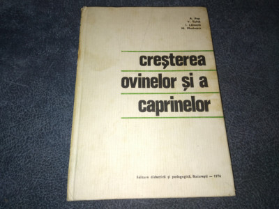 A POP - CRESTEREA OVINELOR SI A CAPRINELOR foto