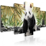 Cumpara ieftin Tablou - Cute Panda Bear 100x50 cm