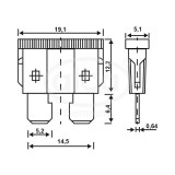 SIGURANTE FUZIBILE STANDARD 10A SET 5 BUC, Alca