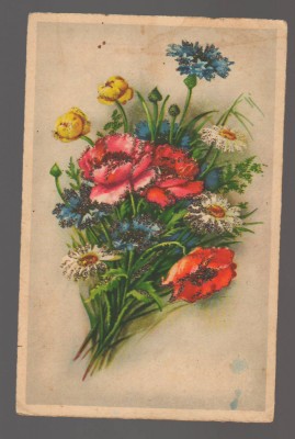 CPIB 20843 FELICITARE - BUCHET DE FLORI foto