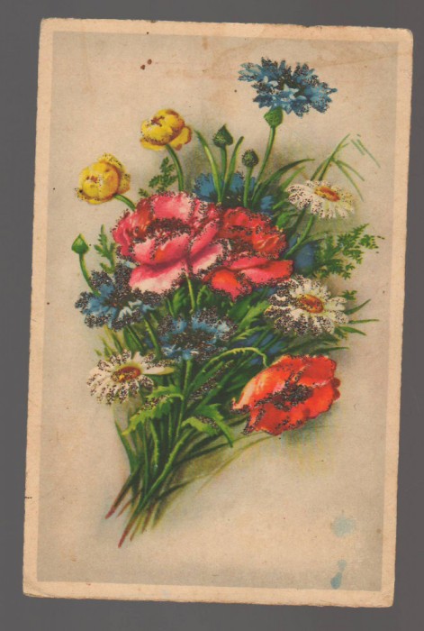 CPIB 20843 FELICITARE - BUCHET DE FLORI