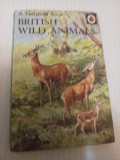 British wild animals