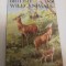 British wild animals
