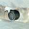 Foto  - 2