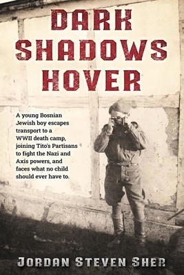 Dark Shadows Hover foto