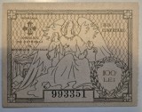 Esseu Romania 100 Lei Consiliul de Patronaj, Bancnota Romaneasca