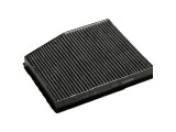 Filtru polen carbon, habitaclu Fiat Doblo (223), Idea (350), Punto (188); Lancia Musa (350), Ypsilon (843) Aster