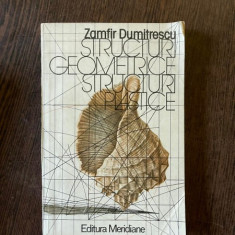 Zamfir Dumitrescu - Structuri geometrice, structuri plastice